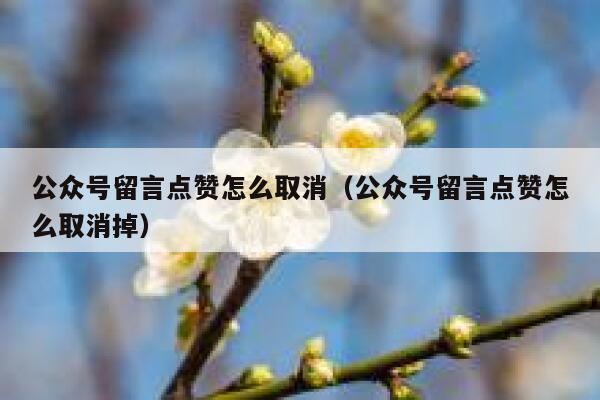 公众号留言点赞怎么取消（公众号留言点赞怎么取消掉） 第1张