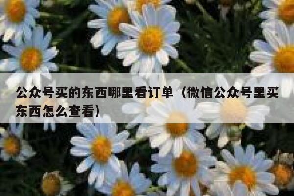 公众号买的东西哪里看订单（微信公众号里买东西怎么查看） 第1张