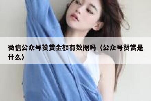 微信公众号赞赏金额有数据吗(公众号赞赏是什么) 第1张 微信公众号赞赏金额有数据吗(公众号赞赏是什么) 第1张