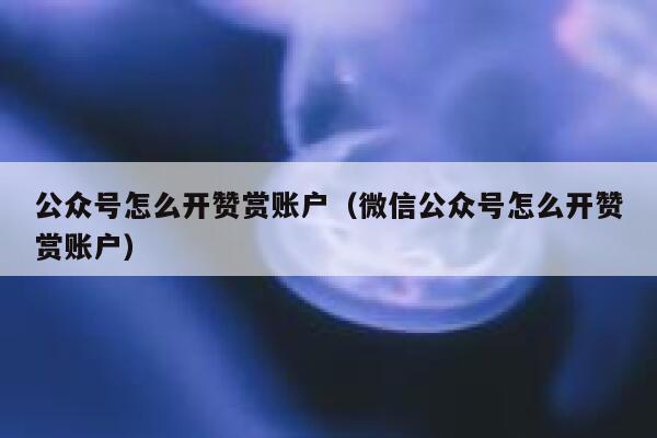 公众号怎么开赞赏账户(微信公众号怎么开赞赏账户) 第1张 公众号怎么开赞赏账户(微信公众号怎么开赞赏账户) 第1张