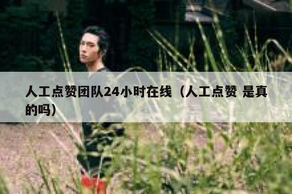人工点赞团队24小时在线（人工点赞 是真的吗） 第1张