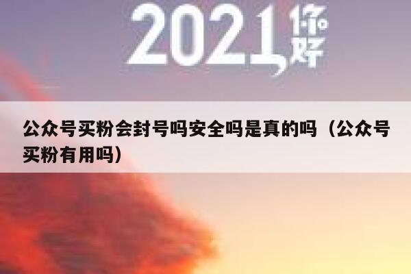 公众号买粉会封号吗安全吗是真的吗（公众号买粉有用吗） 第1张