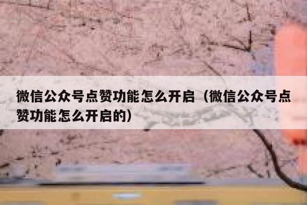 微信公众号点赞功能怎么开启（微信公众号点赞功能怎么开启的） 第1张