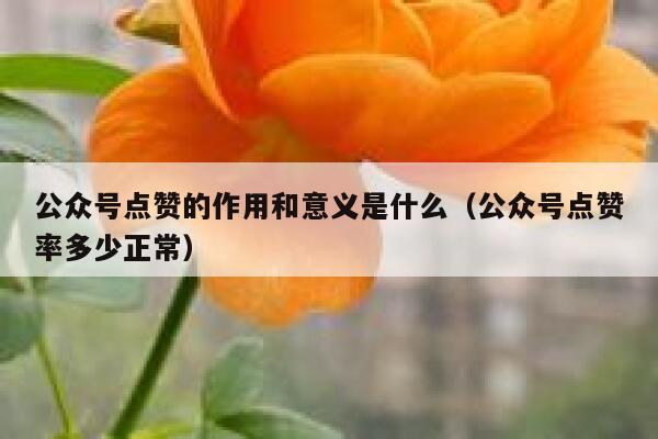 公众号点赞的作用和意义是什么（公众号点赞率多少正常） 第1张