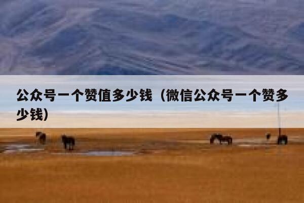公众号一个赞值多少钱（微信公众号一个赞多少钱） 第1张