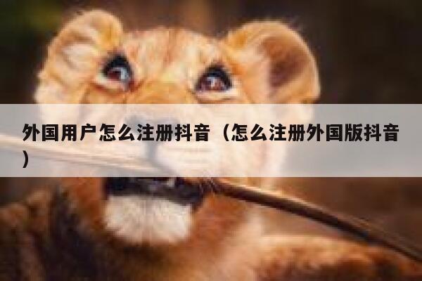 外国用户怎么注册抖音（怎么注册外国版抖音） 第1张