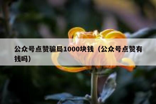 公众号点赞骗局1000块钱（公众号点赞有钱吗） 第1张