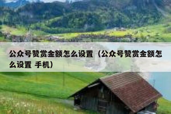 公众号赞赏金额怎么设置（公众号赞赏金额怎么设置 手机） 第1张