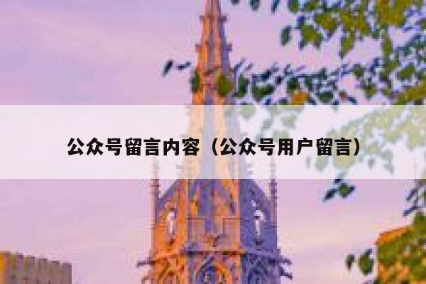 公众号留言内容（公众号用户留言） 第1张