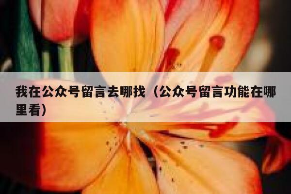 我在公众号留言去哪找（公众号留言功能在哪里看） 第1张