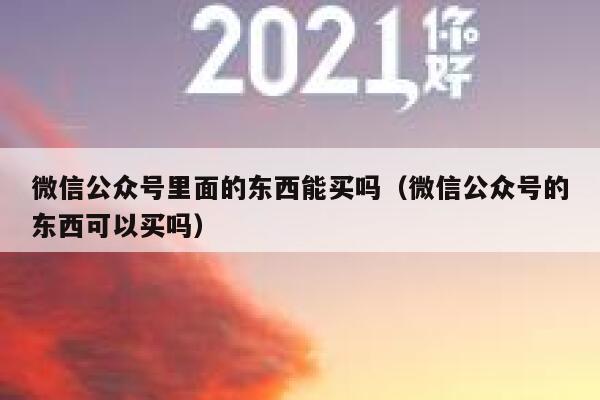微信公众号里面的东西能买吗（微信公众号的东西可以买吗） 第1张