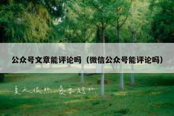 公众号文章能评论吗（微信公众号能评论吗） 第1张