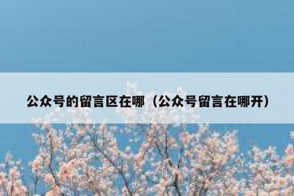 公众号的留言区在哪（公众号留言在哪开） 第1张