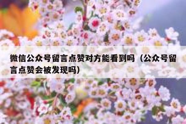 微信公众号留言点赞对方能看到吗（公众号留言点赞会被发现吗） 第1张