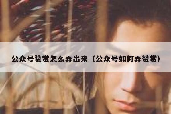 公众号赞赏怎么弄出来（公众号如何弄赞赏） 第1张