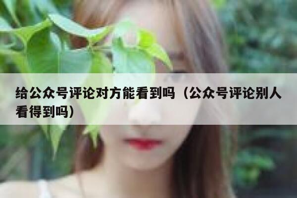 给公众号评论对方能看到吗（公众号评论别人看得到吗） 第1张