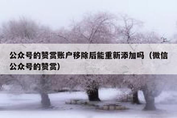 公众号的赞赏账户移除后能重新添加吗（微信公众号的赞赏） 第1张