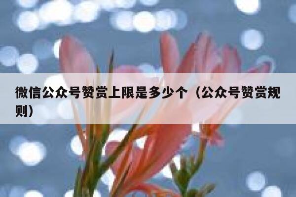 微信公众号赞赏上限是多少个(公众号赞赏规则) 第1张 微信公众号赞赏上限是多少个(公众号赞赏规则) 第1张