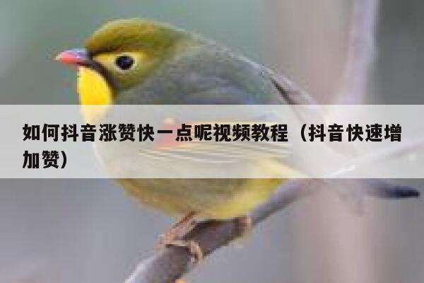 如何抖音涨赞快一点呢视频教程（抖音快速增加赞） 第1张