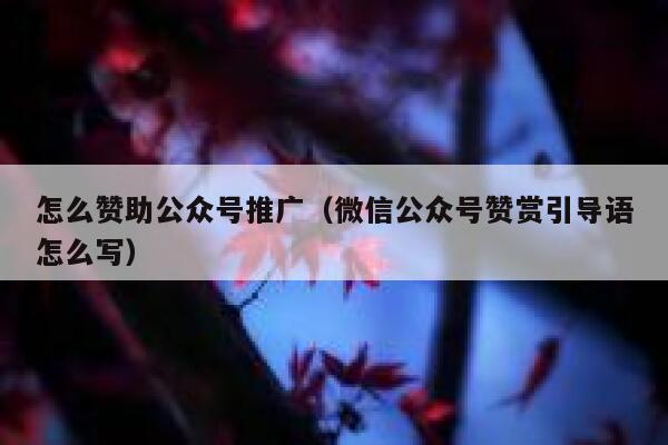 怎么赞助公众号推广（微信公众号赞赏引导语怎么写） 第1张