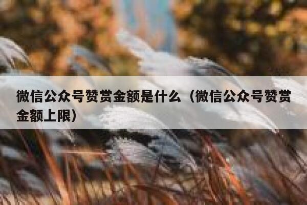 微信公众号赞赏金额是什么（微信公众号赞赏金额上限） 第1张