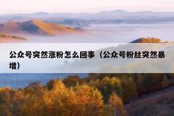 公众号突然涨粉怎么回事（公众号粉丝突然暴增） 第1张