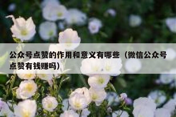 公众号点赞的作用和意义有哪些（微信公众号点赞有钱赚吗） 第1张