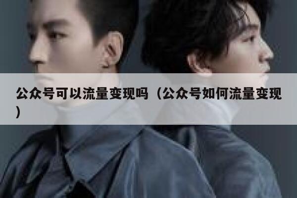 公众号可以流量变现吗（公众号如何流量变现） 第1张
