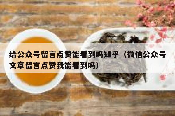 给公众号留言点赞能看到吗知乎（微信公众号文章留言点赞我能看到吗） 第1张