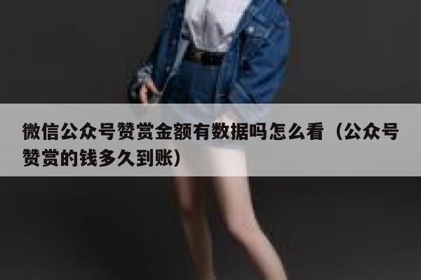 微信公众号赞赏金额有数据吗怎么看（公众号赞赏的钱多久到账） 第1张