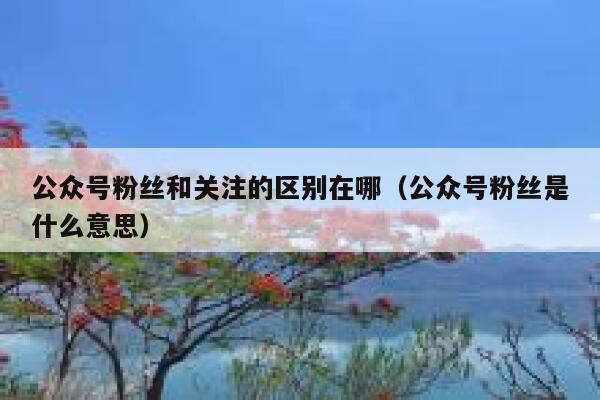 公众号粉丝和关注的区别在哪（公众号粉丝是什么意思） 第1张