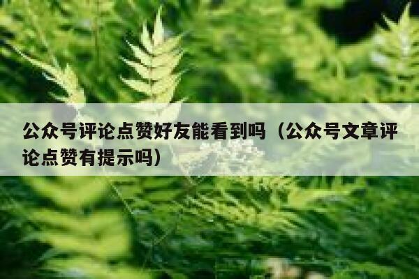 公众号评论点赞好友能看到吗（公众号文章评论点赞有提示吗） 第1张