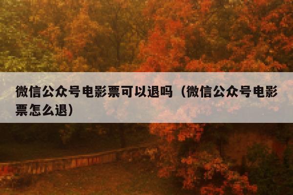 微信公众号电影票可以退吗（微信公众号电影票怎么退） 第1张