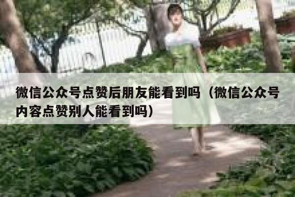 微信公众号点赞后朋友能看到吗（微信公众号内容点赞别人能看到吗） 第1张