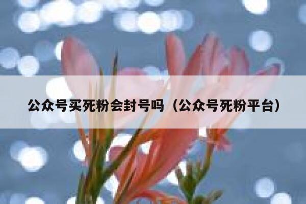 公众号买死粉会封号吗（公众号死粉平台） 第1张