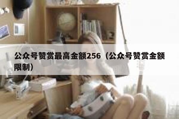 公众号赞赏最高金额256（公众号赞赏金额限制） 第1张