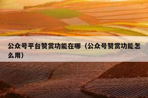 公众号平台赞赏功能在哪（公众号赞赏功能怎么用） 第1张