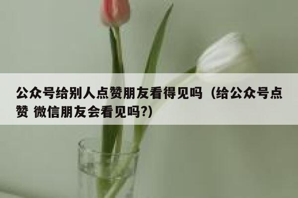 公众号给别人点赞朋友看得见吗（给公众号点赞 微信朋友会看见吗?） 第1张