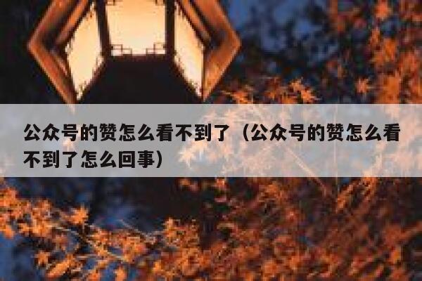 公众号的赞怎么看不到了（公众号的赞怎么看不到了怎么回事） 第1张