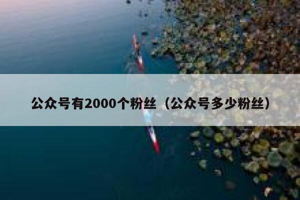 公众号有2000个粉丝（公众号多少粉丝） 第1张