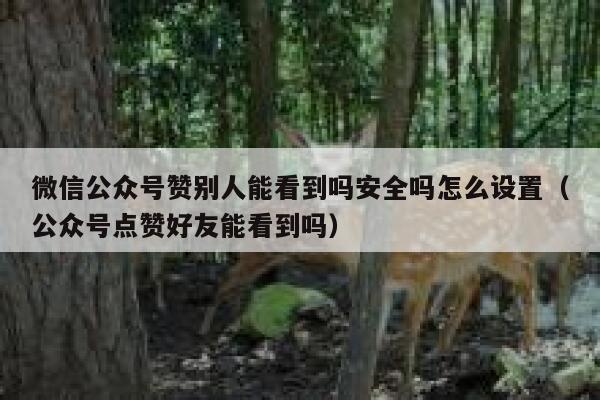 微信公众号赞别人能看到吗安全吗怎么设置（公众号点赞好友能看到吗） 第1张