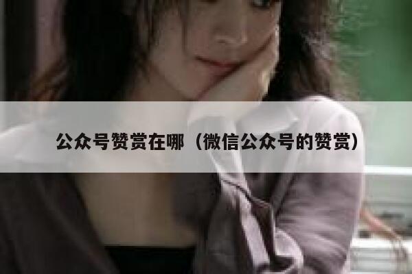 公众号赞赏在哪（微信公众号的赞赏） 第1张