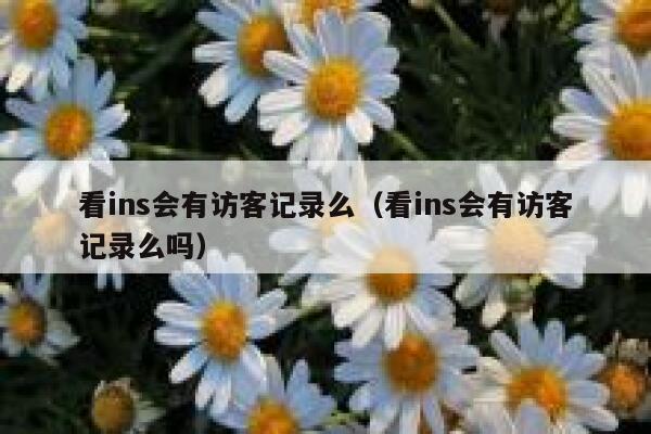 看ins会有访客记录么（看ins会有访客记录么吗） 第1张