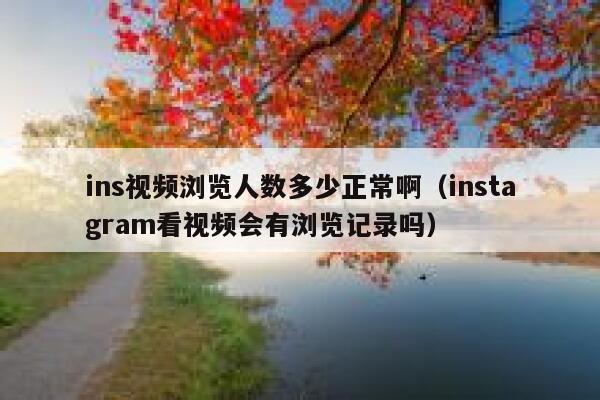 ins视频浏览人数多少正常啊（instagram看视频会有浏览记录吗） 第1张