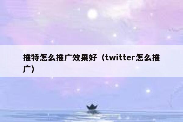 推特怎么推广效果好（twitter怎么推广） 第1张