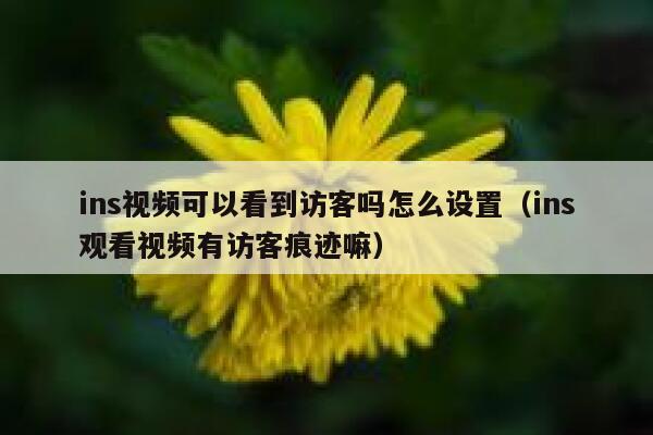 ins视频可以看到访客吗怎么设置（ins观看视频有访客痕迹嘛） 第1张