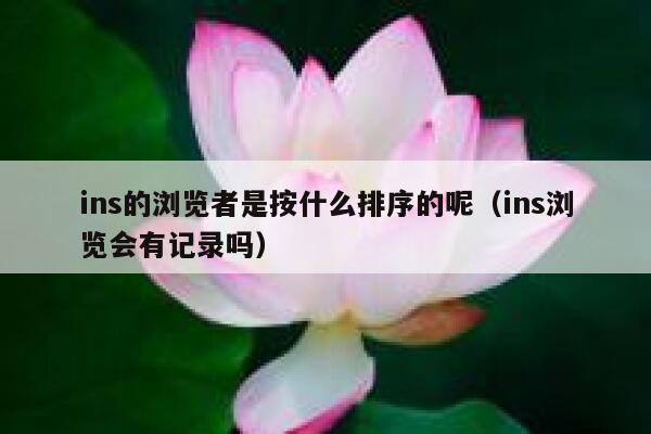 ins的浏览者是按什么排序的呢（ins浏览会有记录吗） 第1张