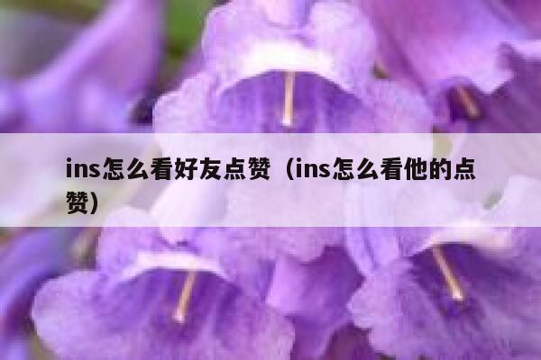 ins怎么看好友点赞（ins怎么看他的点赞） 第1张
