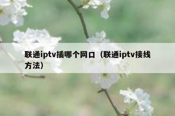 联通iptv插哪个网口（联通iptv接线方法） 第1张