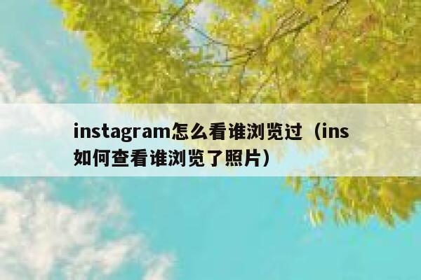 instagram怎么看谁浏览过（ins如何查看谁浏览了照片） 第1张
